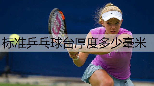 标准乒乓球台厚度多少毫米