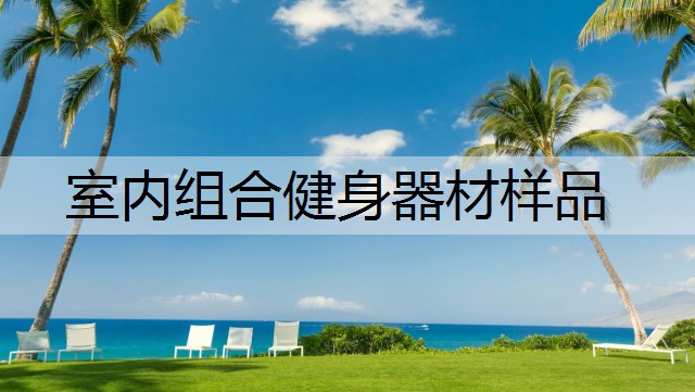 室内组合健身器材样品