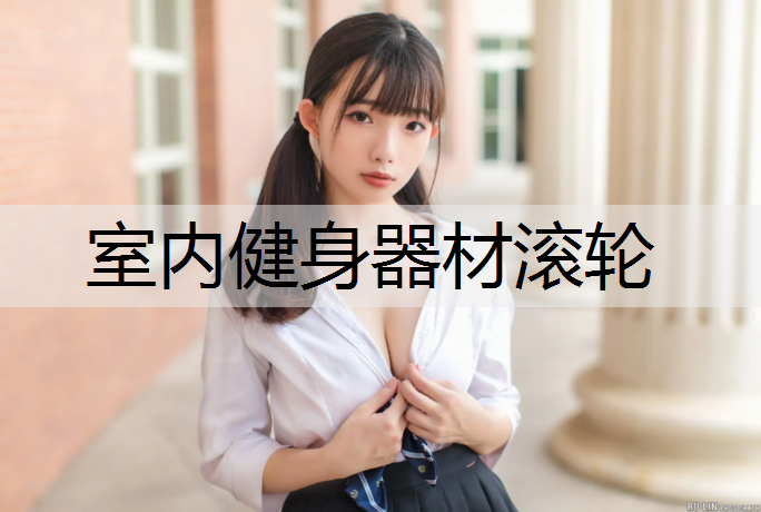 室内健身器材滚轮