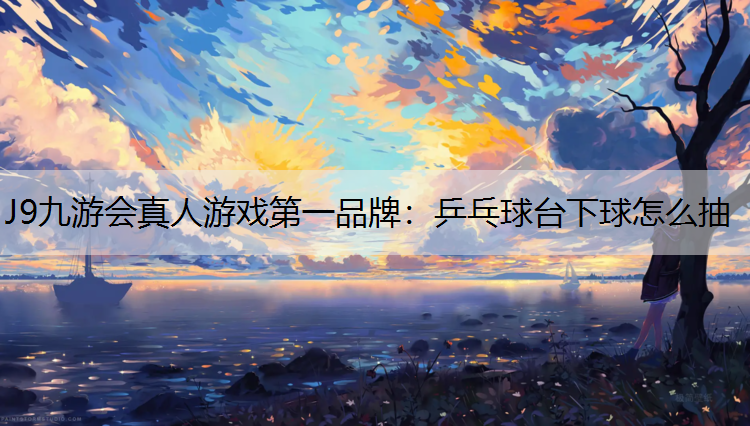 J9九游会真人游戏第一品牌：乒乓球台下球怎么抽