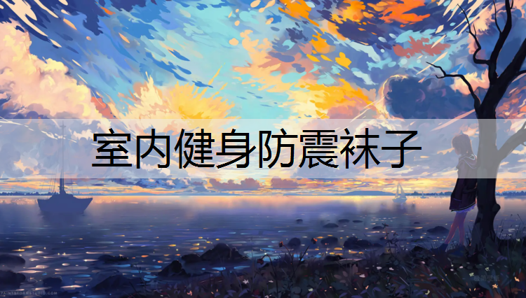 室内健身防震袜子