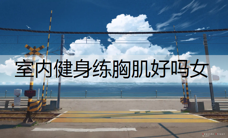 室内健身练胸肌好吗女