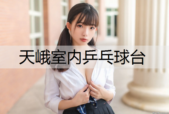 天峨室内乒乓球台