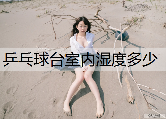 乒乓球台室内湿度多少