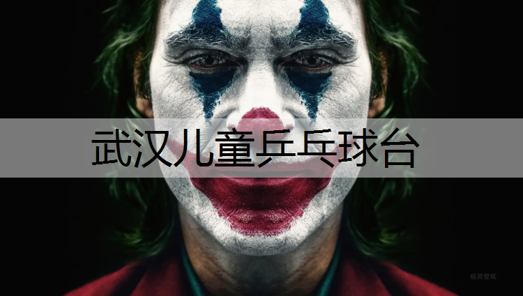 武汉儿童乒乓球台