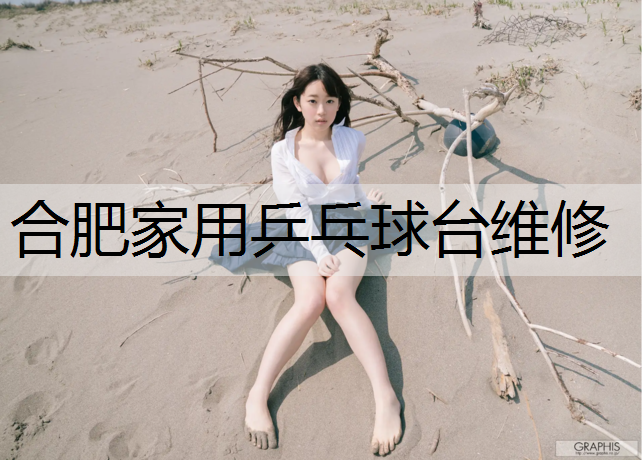 合肥家用乒乓球台维修