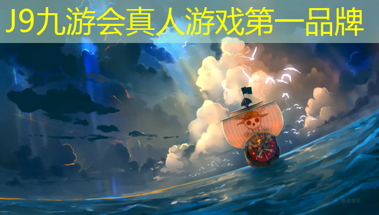 J9九游会官网登录入口：武进专业网球网型号