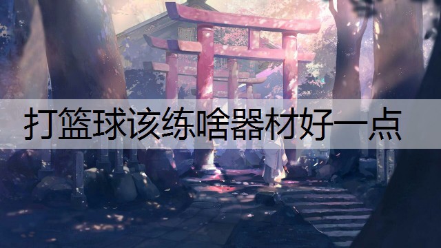 打篮球该练啥器材好一点