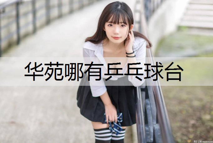 华苑哪有乒乓球台