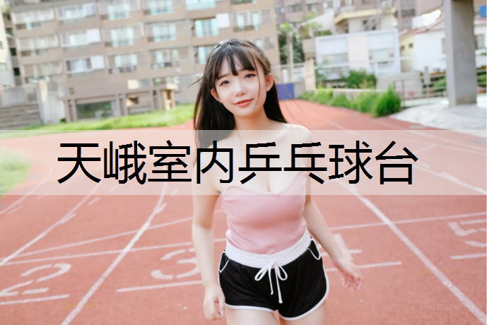 天峨室内乒乓球台